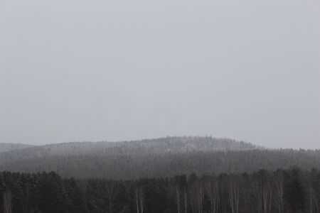 Taiga in the snow in cloudy weatherの写真素材