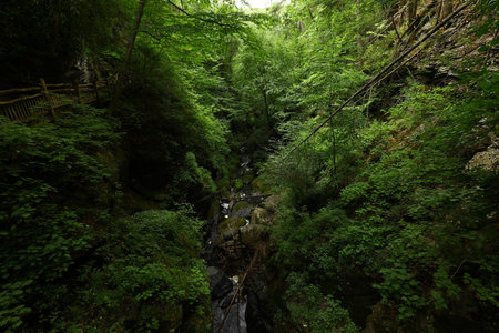 Bushkill Waterfalls in Lehman township, Pennsylvaniaの写真素材