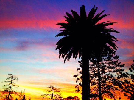 Sunset on a golf coursの素材