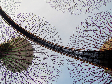 Solar-powered supertrees at Singapore's Gardens by the Bay.のeditorial素材