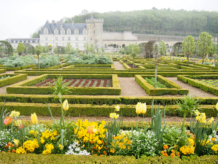 The formal gardens of Villandry Chateau in the Loire Valley of France.のeditorial素材