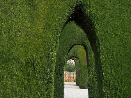 Arch-shaped ornamental shrubs create a walkway.の写真素材