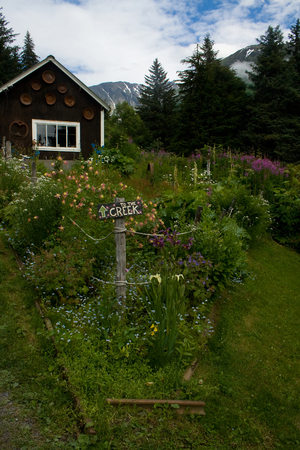 Wildflowers are growing in a green scenic valley in Alaska.のeditorial素材