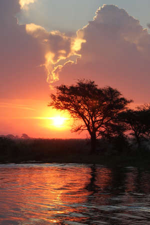 African Sunsetの写真素材