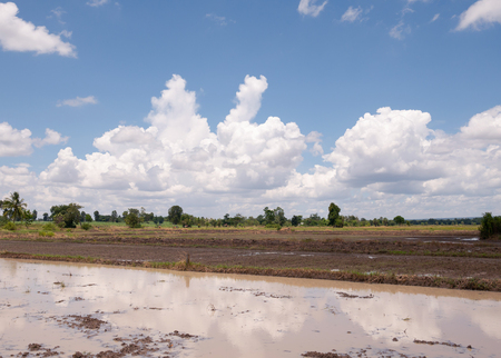 Plowed field Ready for planting. Clouds moving on the blue sky. farmland Landscapeの写真素材