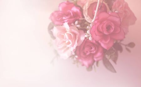 Blurred and filter rose background with copy space. Blossoming soft pink flowers and blur use for postcard.の写真素材