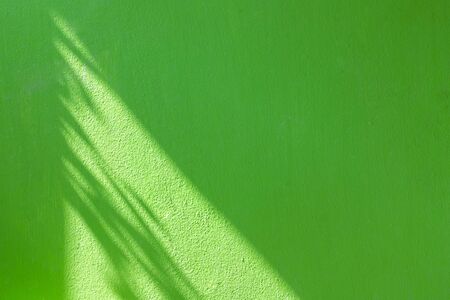 Abstract background and textured shadows leaf on a green concrete wall in the morning.の写真素材