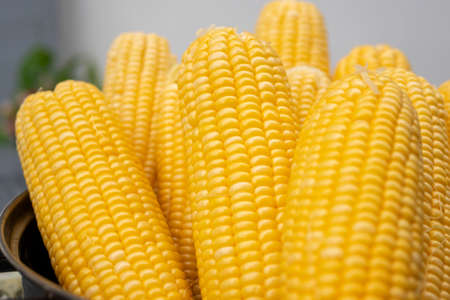 Close-up group sweet corn in the pot on the table. Full frame of freshness maize. Peeled raw corn is...