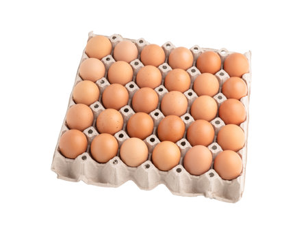 Chicken eggs in the carton isolated on the white backgroundの写真素材