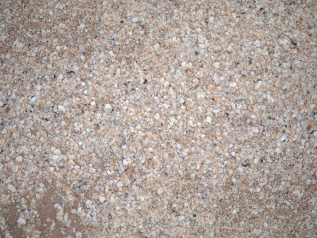 Abstract background of many break shells on the sand beach. Summer holiday concept. Numerous shells that were washed ashore along with ocean waves and deposited together.の写真素材