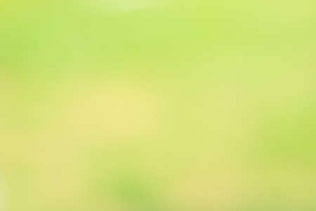 Abstract blurred green and yellow gradient background with light for graphic designの写真素材