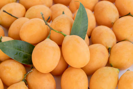 Close-up group Maprang or Plum mangos. Thai summer Fruit has a sweet and sour taste. (Bouea macrophylla Griff, Anacardiaceae)の写真素材