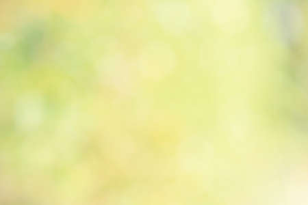 Abstract blurred green and yellow gradient background with light for graphic design. Blur natural green trees for the spring season.の写真素材