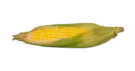 Corn isolate on white background with clipping pathsの写真素材