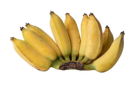 Ripe yellow bananas isolated on white background with clipping pathsの写真素材
