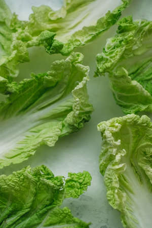 Chinese cabbage, background texture of green leaves, flat lay. High quality photoの写真素材