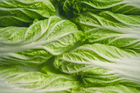 Chinese cabbage, background texture of green leaves, flat lay. High quality photoの写真素材