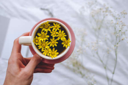 Hands hold cup with yellow flowers inside, on a white bed in the morning. Spring background.の写真素材