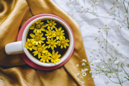 Cup with yellow flowers on a golden textile. Spring background.の写真素材