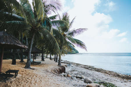 Beautiful morning landscape of the turquoise sea with palm trees and sand. Tropical background. High...