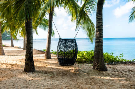 Swing chair on palm trees. Landscape of a tropical sandy beach with palm trees in sunny day. travel concept. High quality photoの写真素材