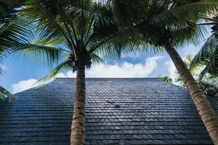 Palm trees and house roof made of stone tiles against the blue sky. Tropical garden exterior. High quality photoの写真素材