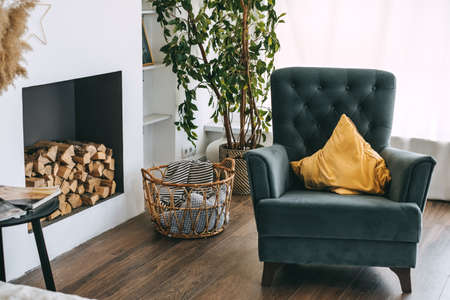 Living room with green plants and an empty large armchair near the window, home comfort, interior details. High quality photoの写真素材
