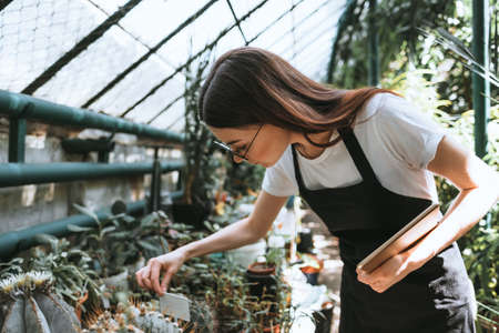 Young woman gardener in glasses and apron with digital tablet working in a garden center for better quality control. Environmentalist using digital tablet in greenhouse. High quality photoの写真素材
