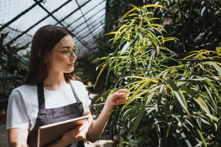 Young woman gardener in glasses and apron with digital tablet working in a garden center for better...