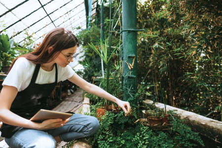 Young woman gardener in glasses and apron with digital tablet working in a garden center for better...