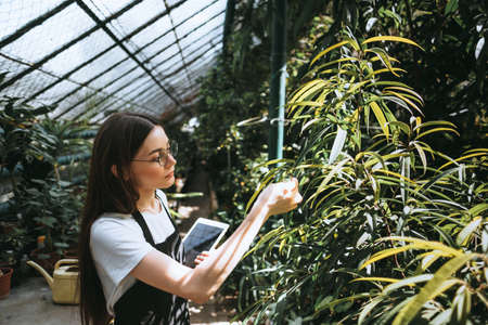 Young woman gardener in glasses and apron with digital tablet working in a garden center for better...