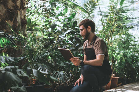 Young man gardener in glasses and apron with digital tablet working in a garden center for better quality control. Environmentalist using digital tablet in greenhouse. High quality photoの写真素材