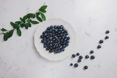 Fresh juicy blueberries in a white plate with on a white background. Close up.の写真素材