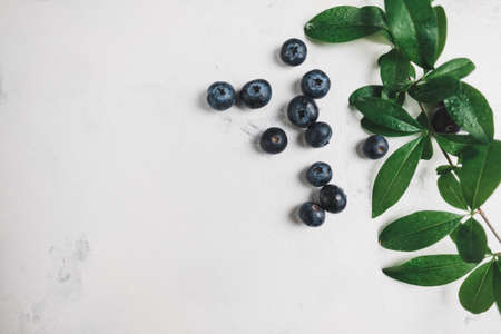 Fresh juicy blueberries with green leaves on white background. Close upの写真素材