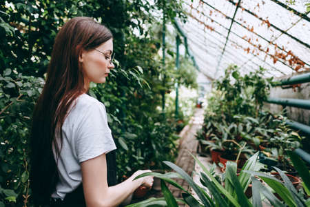 Young woman gardener in glasses and apron working in a garden center. ... High quality photoの写真素材