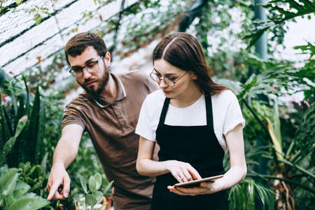 Young woman gardener in glasses and apron with digital tablet working in a garden center for better quality control with a colleague. Environmentalists using digital tablet in greenhouse.の写真素材