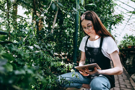 Young woman gardener in glasses and apron with digital tablet working in a garden center for better quality control. Environmentalist using digital tablet in greenhouse. High quality photoの写真素材