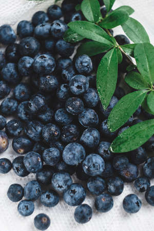 Fresh juicy blueberries with green leaves on white background. Close upの写真素材