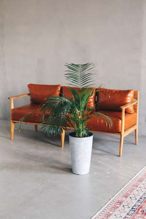 Interior design of modern living room with brown leather sofa and home plants. High quality photo
