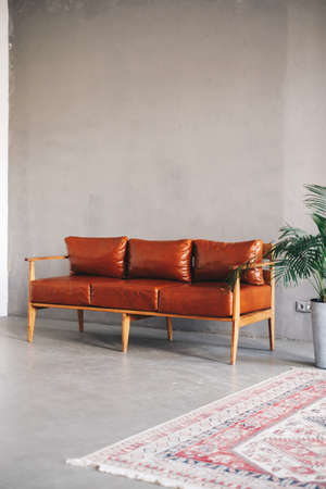 Interior design of modern living room with brown leather sofa and home plants. High quality photo