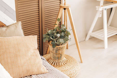 Eco friendly interior design of bedroom in modern house. High quality photoの写真素材