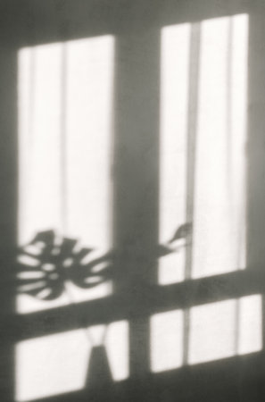 White wall with window shadow. High quality photo