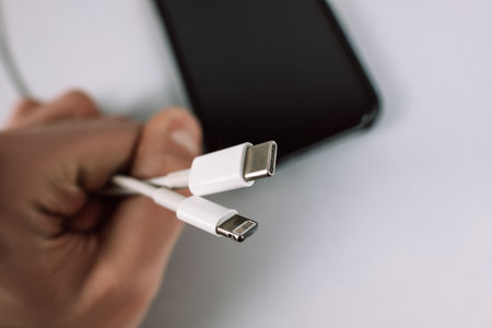 Wires with lightning and type-c connectors. High quality photo.