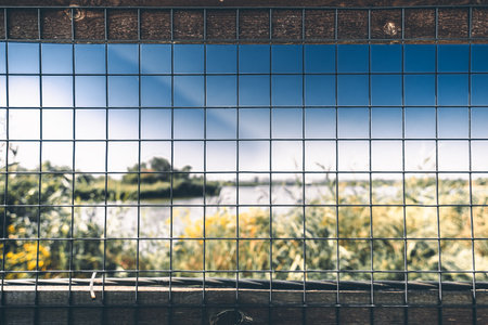 Blurred background, with a metal fence. Blue sky, wild plants and sea in the background.