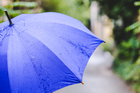 Blue Umbrella in the rain and green on the background. Copy space.の写真素材