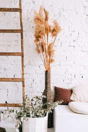 Interior design of bright living room with white walls and couch bench with pillows. Dried high plants and wooden ladder near wall.の写真素材