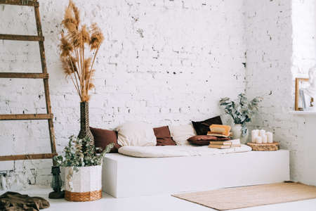 Interior design of bright living room with white walls and couch bench with pillows. Dried high...
