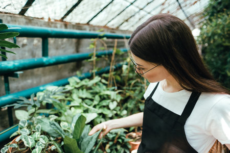 Woman gardener in apron working in a garden center. Environmentalist touching plants leaves in greenhouse.の写真素材