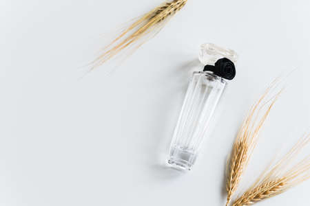 Glass perfume bottle with wheat spikelets on white background with copy space.の写真素材