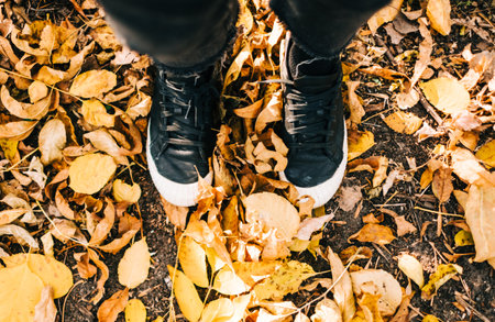 Woman stands on autumn fallen leaves in a park, outdoor.の写真素材